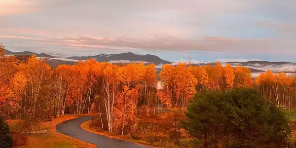 Image 2: Fall is coming!