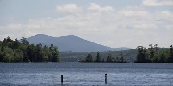 Image 4 Image 4