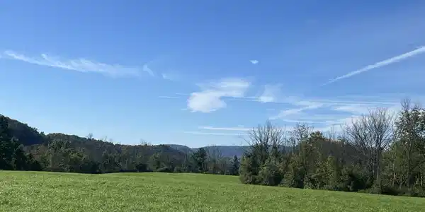 Image 3: South Meadow