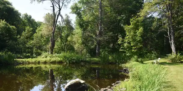 Image 3: Private pond