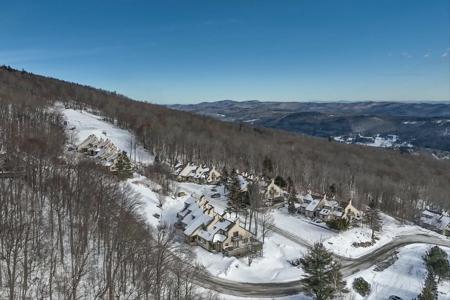 292 Okemo Trailside Extension