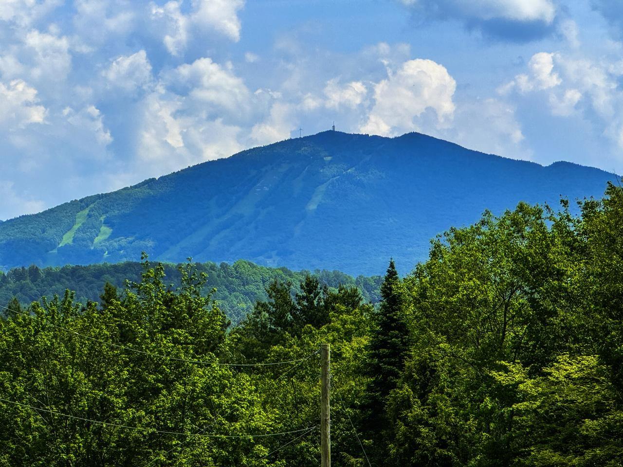 Image 1 Image 1