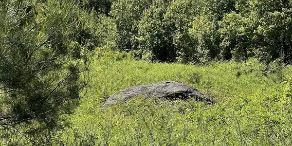 * ALDER PLAINS Road