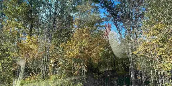 Image 2 Image 2