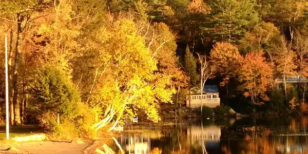 343 Loon Lake Road