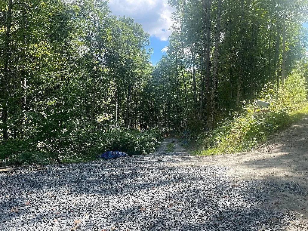 Image 1 Image 1