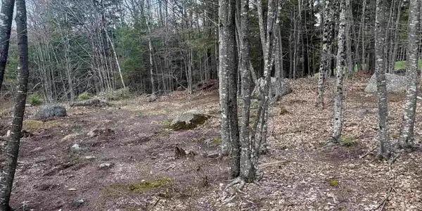 Image 4 Image 4