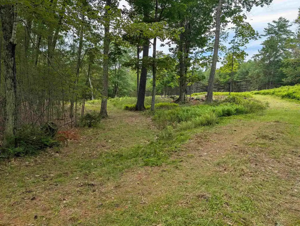 Image 1 Image 1