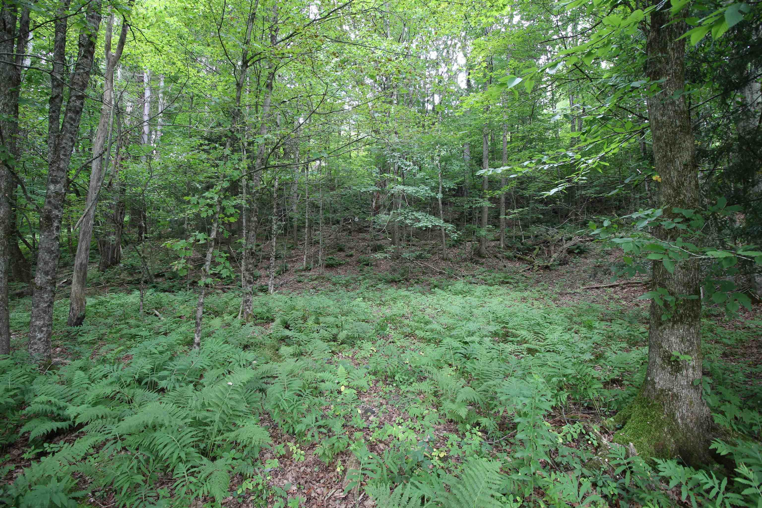 Image 0 Image 0