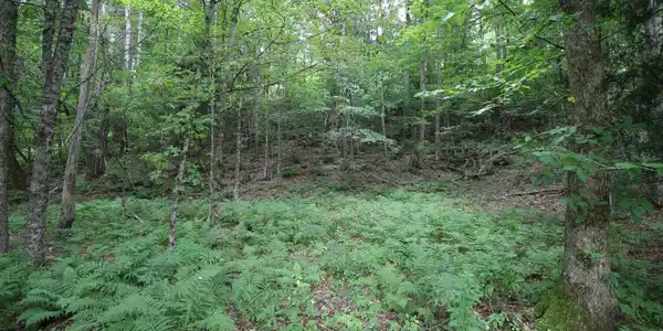 360 Liberty Hill Road