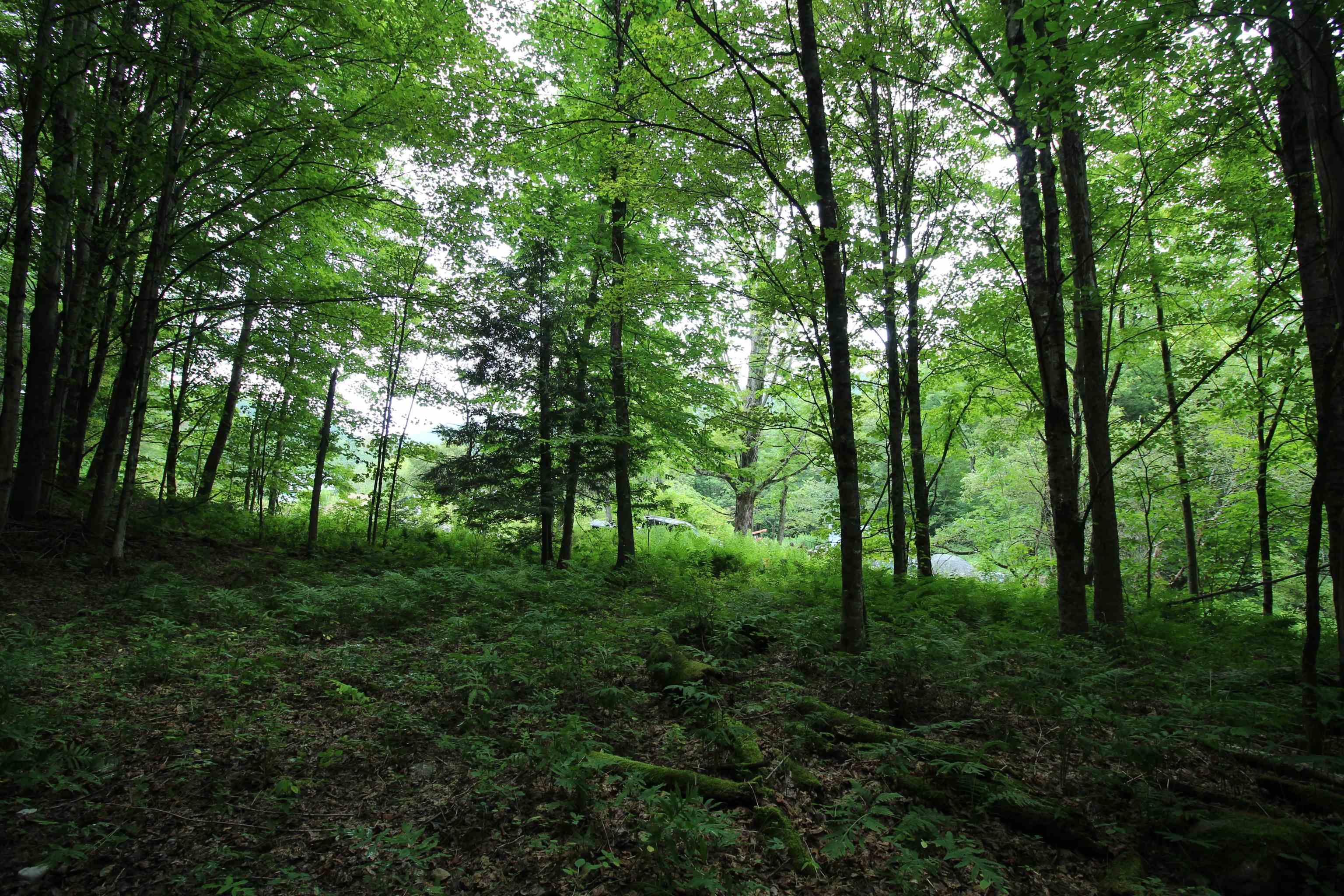 Image 3 Image 3
