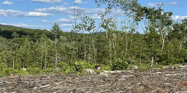 Image 4 Image 4
