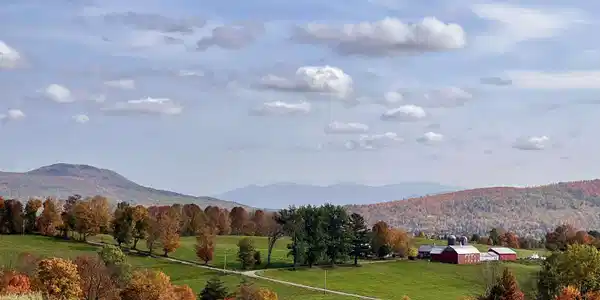 Image 3: A late Sept picture