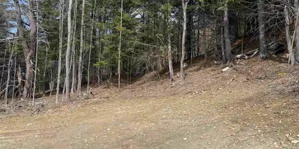 Image 4 Image 4