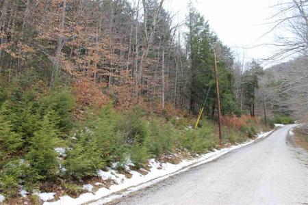 Lot 1-26 Madison Brook Lane