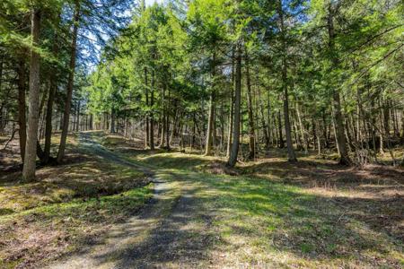 334 Log Cabin Drive