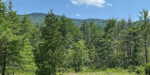 Image 4 Image 4