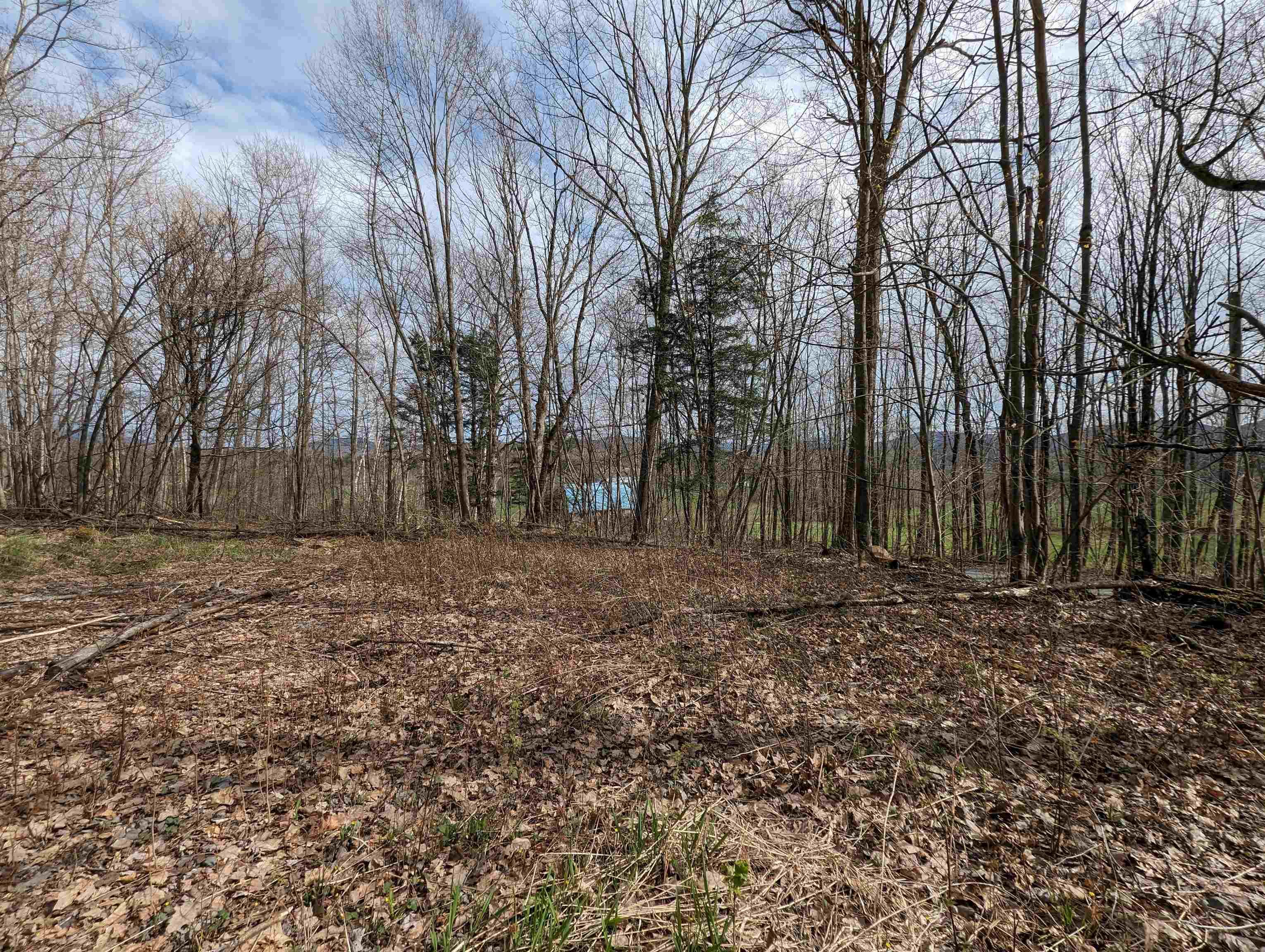 Image 1: View from driveway Image 1: View from driveway