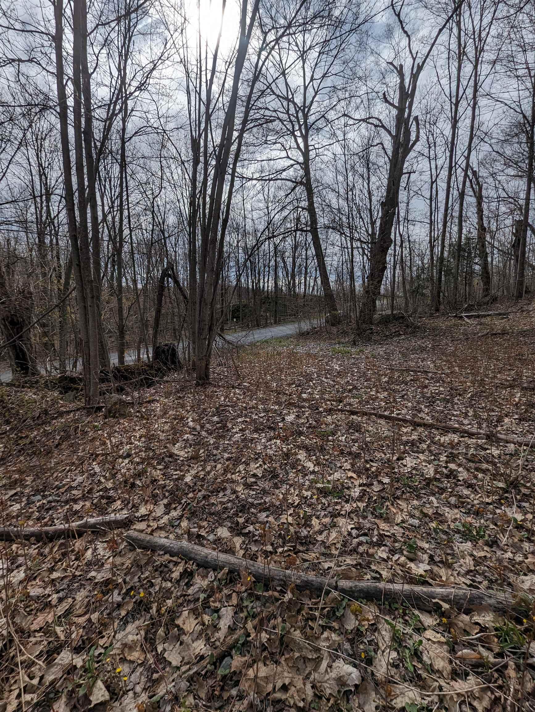 Image 3: View towards mouth of driveway Image 3: View towards mouth of driveway