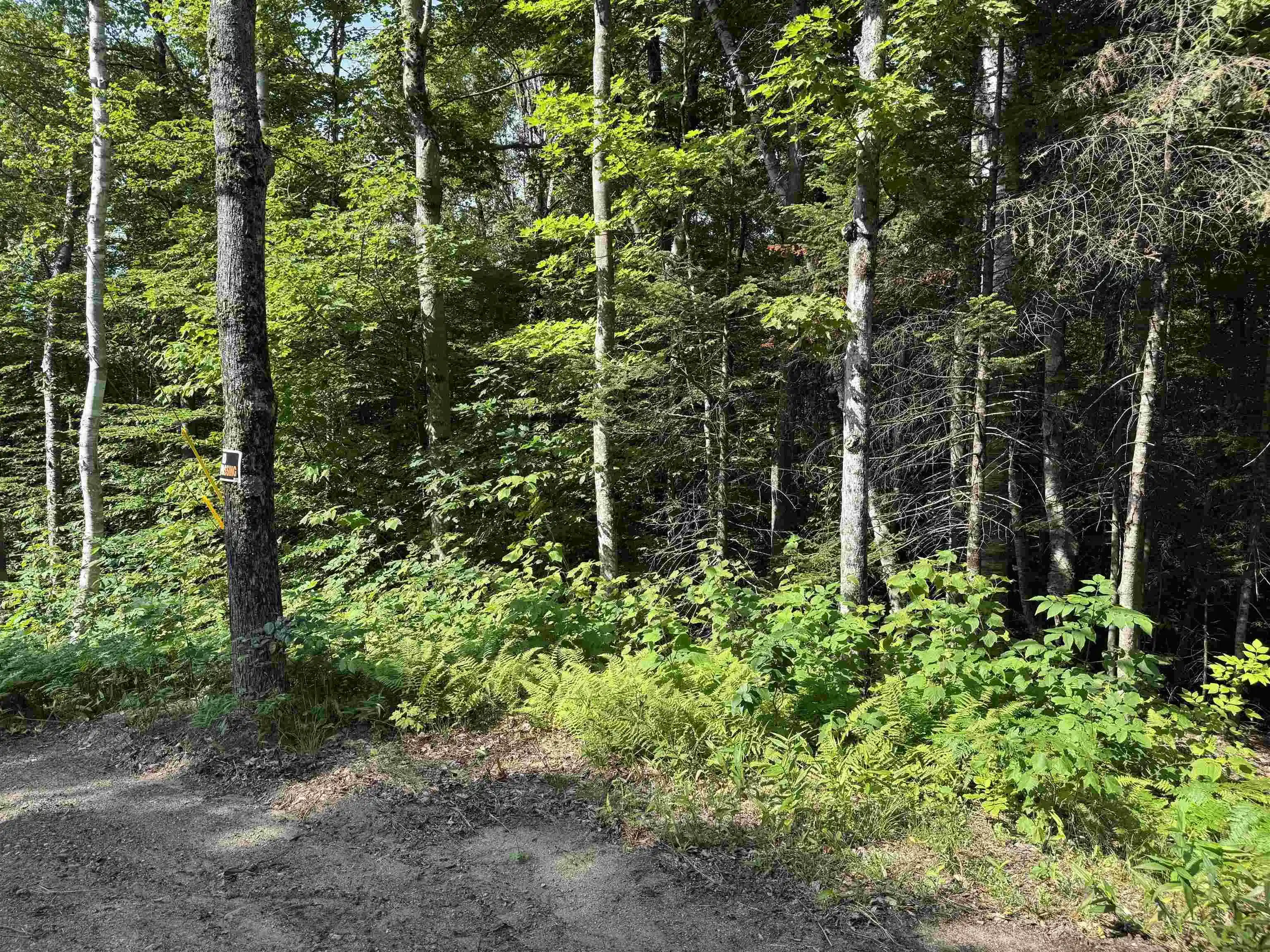 Image 1: 5.3 acres awaiting your ideas Image 1: 5.3 acres awaiting your ideas
