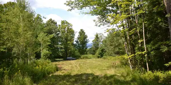 Image 3: Still west facing, near the road. See the viewscape watitin Image 3: Still west facing, near the road. See the viewscape watitin