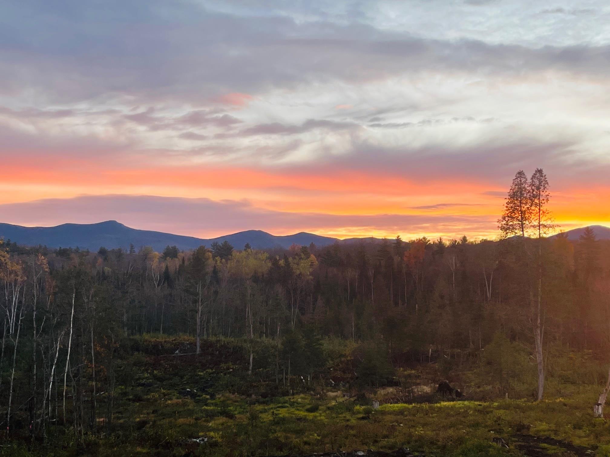 Image 1: Sunrise Image 1: Sunrise