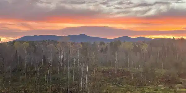 Image 2: Sunrise Image 2: Sunrise