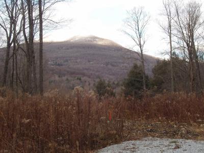 00 Finbar's  Forest Road