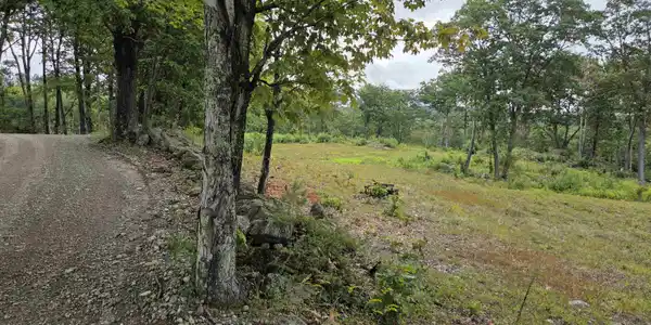 Image 3 Image 3