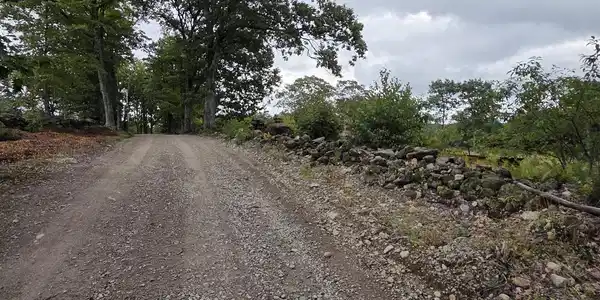 Image 4 Image 4