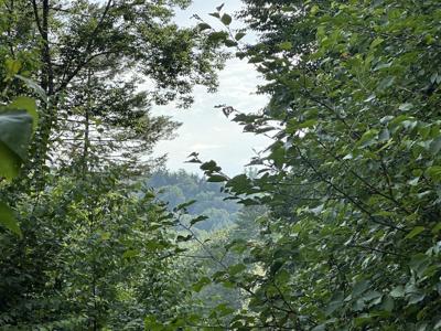 00 Vermont Route 103