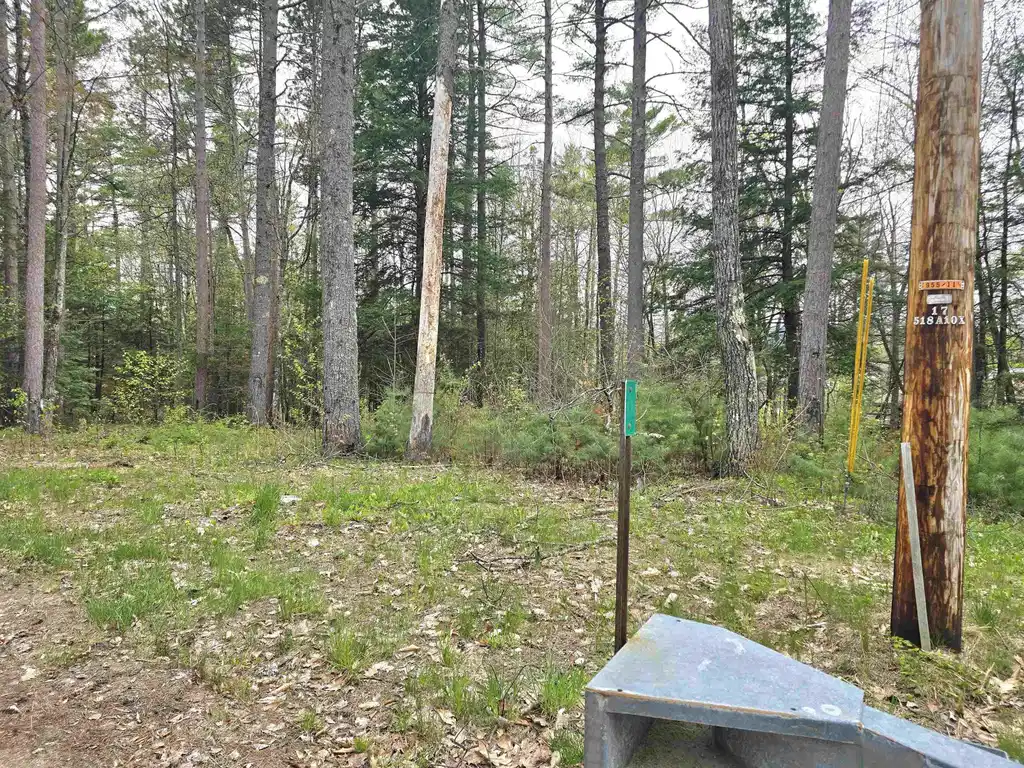 Image 1: Lot 260 Thompson Rd (Parcel 228) North Conway NH Image 1: Lot 260 Thompson Rd (Parcel 228) North Conway NH
