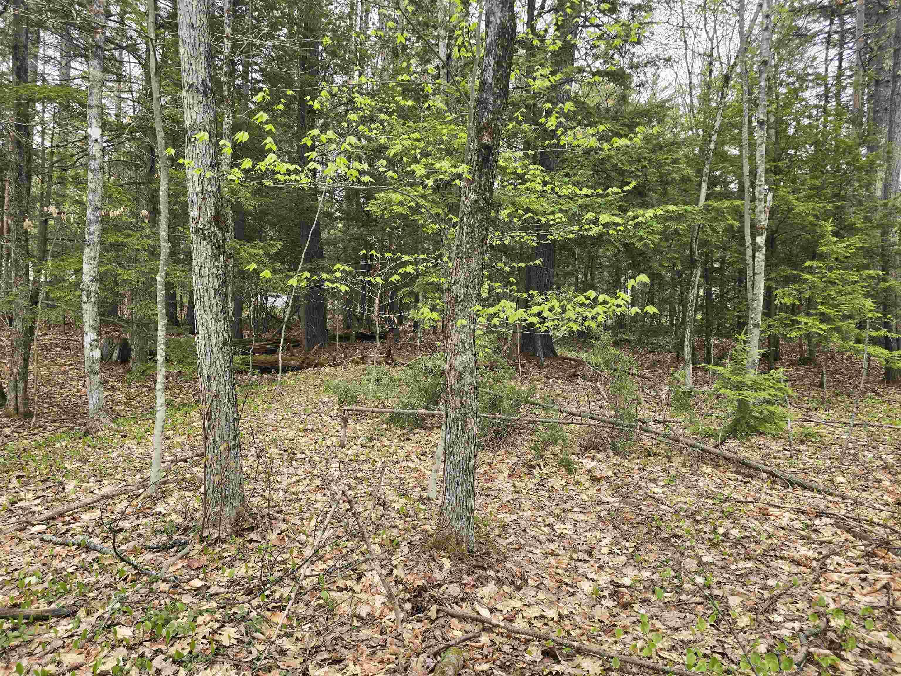 Image 2: Land view from the MWV Rec Path