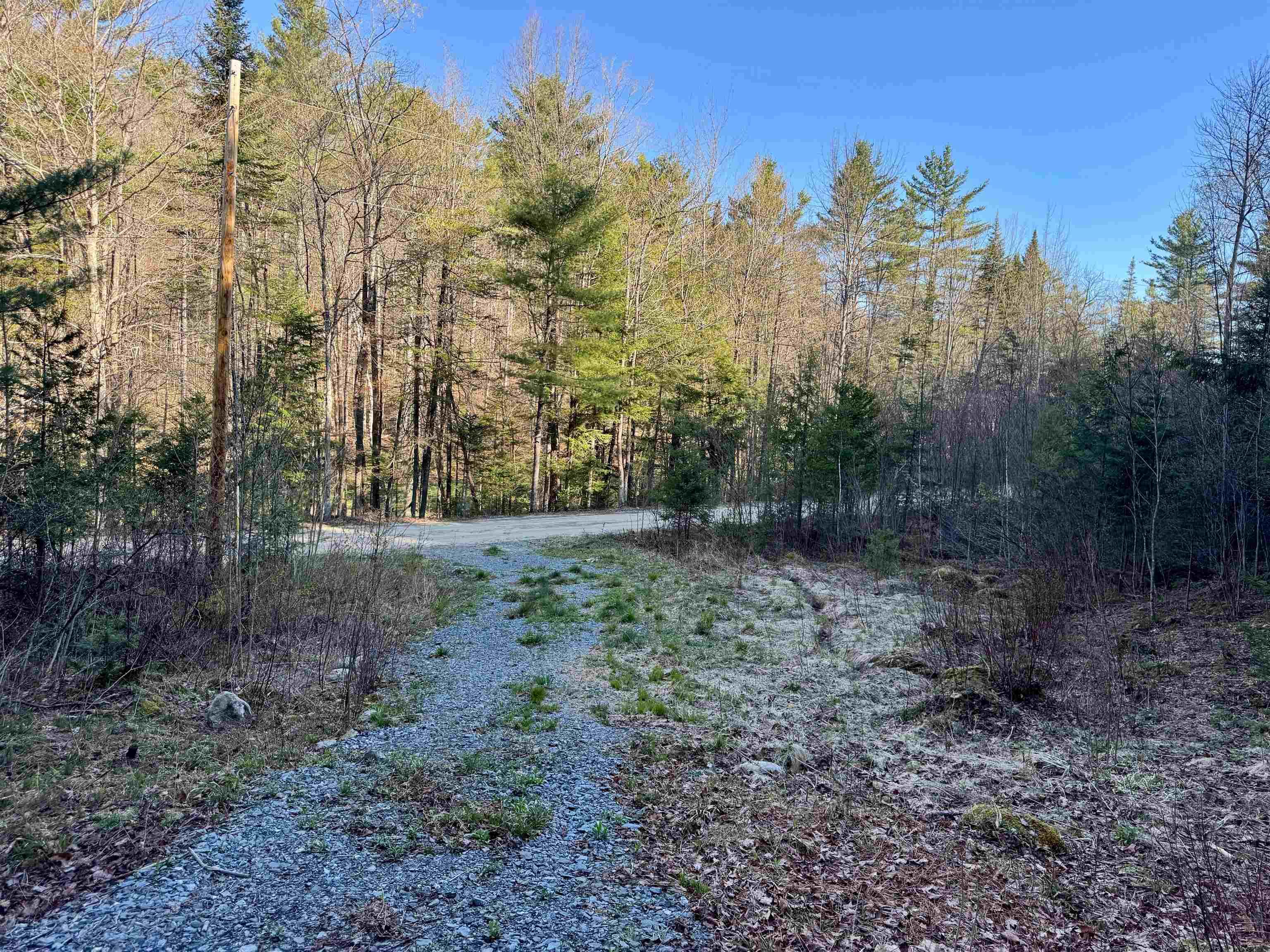 Image 4 Image 4