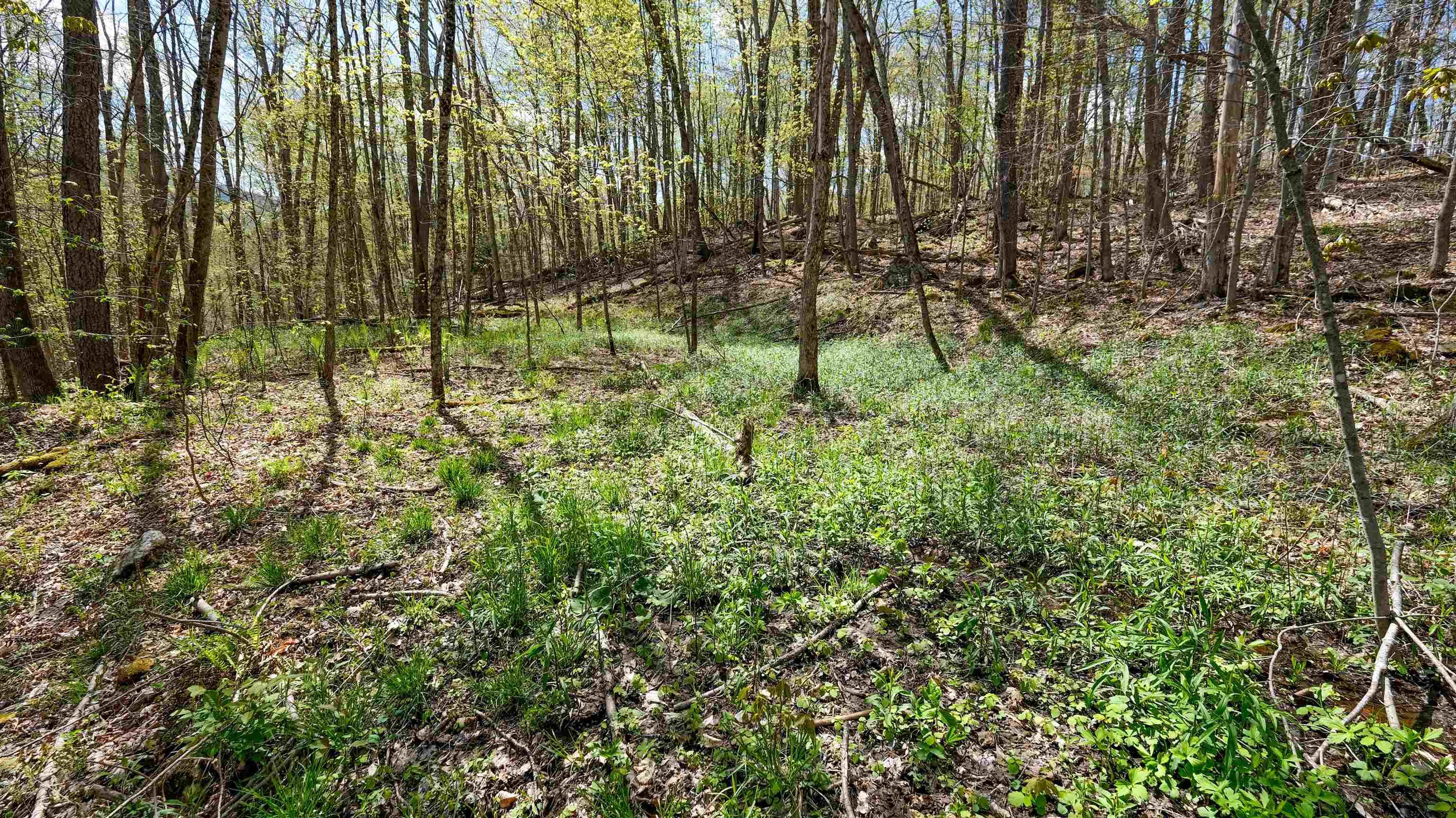 Image 1: Level area Image 1: Level area
