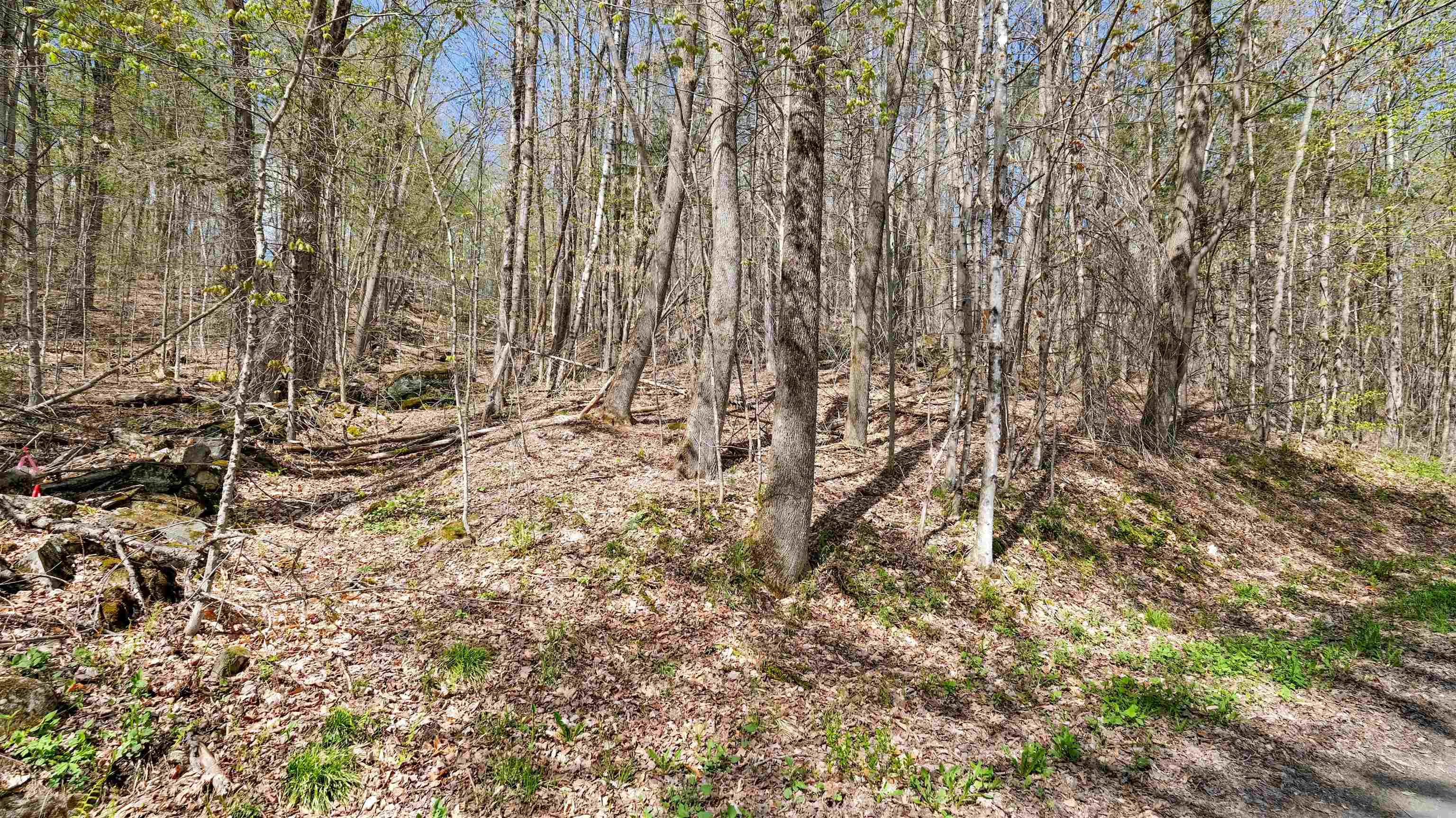 Image 2: Lower stone wall off Autumns Heights road Image 2: Lower stone wall off Autumns Heights road