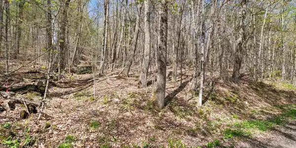 Image 2: Lower stone wall off Autumns Heights road