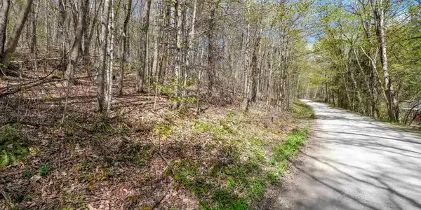 Image 3: Road frontage looking up Hawkins Road