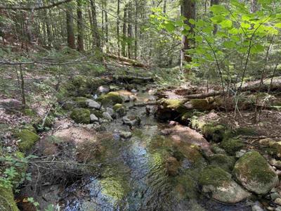 F2 Cave Mountain Road