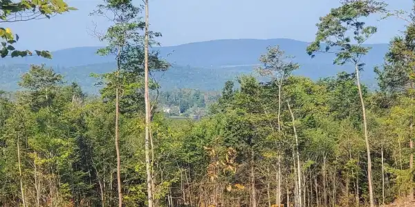 Fernwood Farms Road