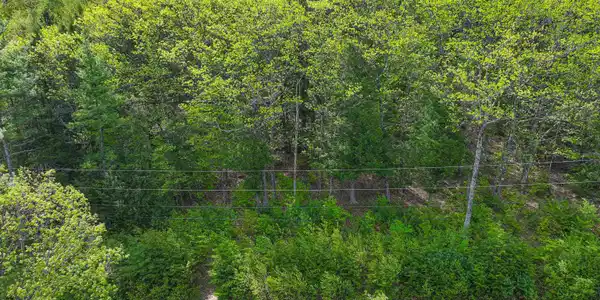 Image 3 Image 3