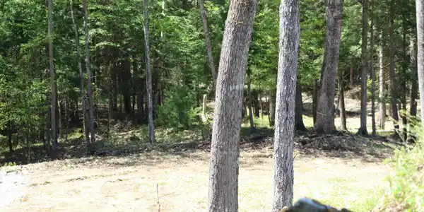 Image 4 Image 4