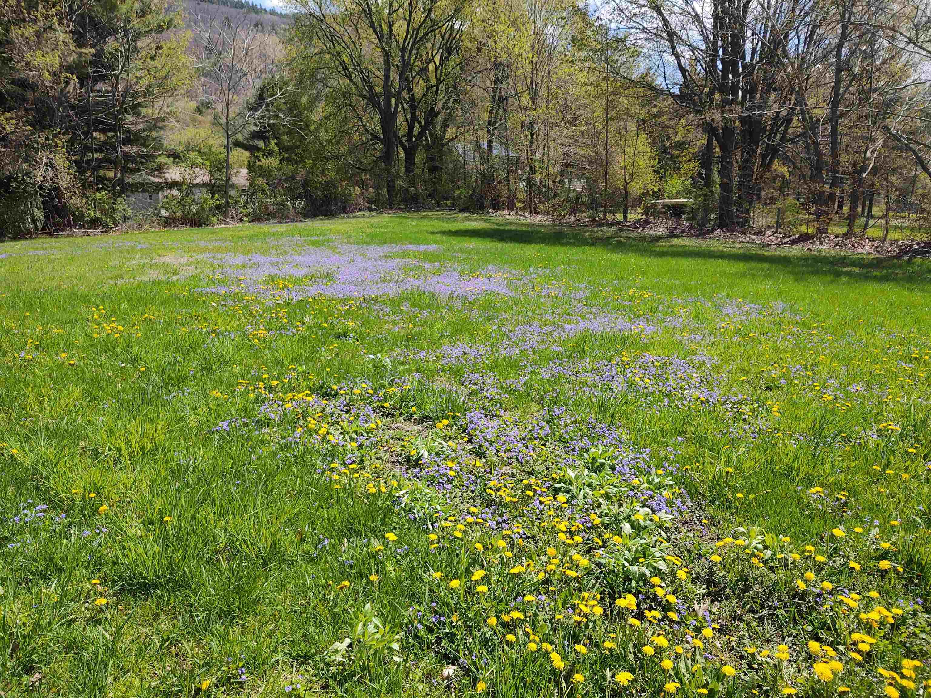 Image 1: Springtime Picture Upper Building Envelope Image 1: Springtime Picture Upper Building Envelope