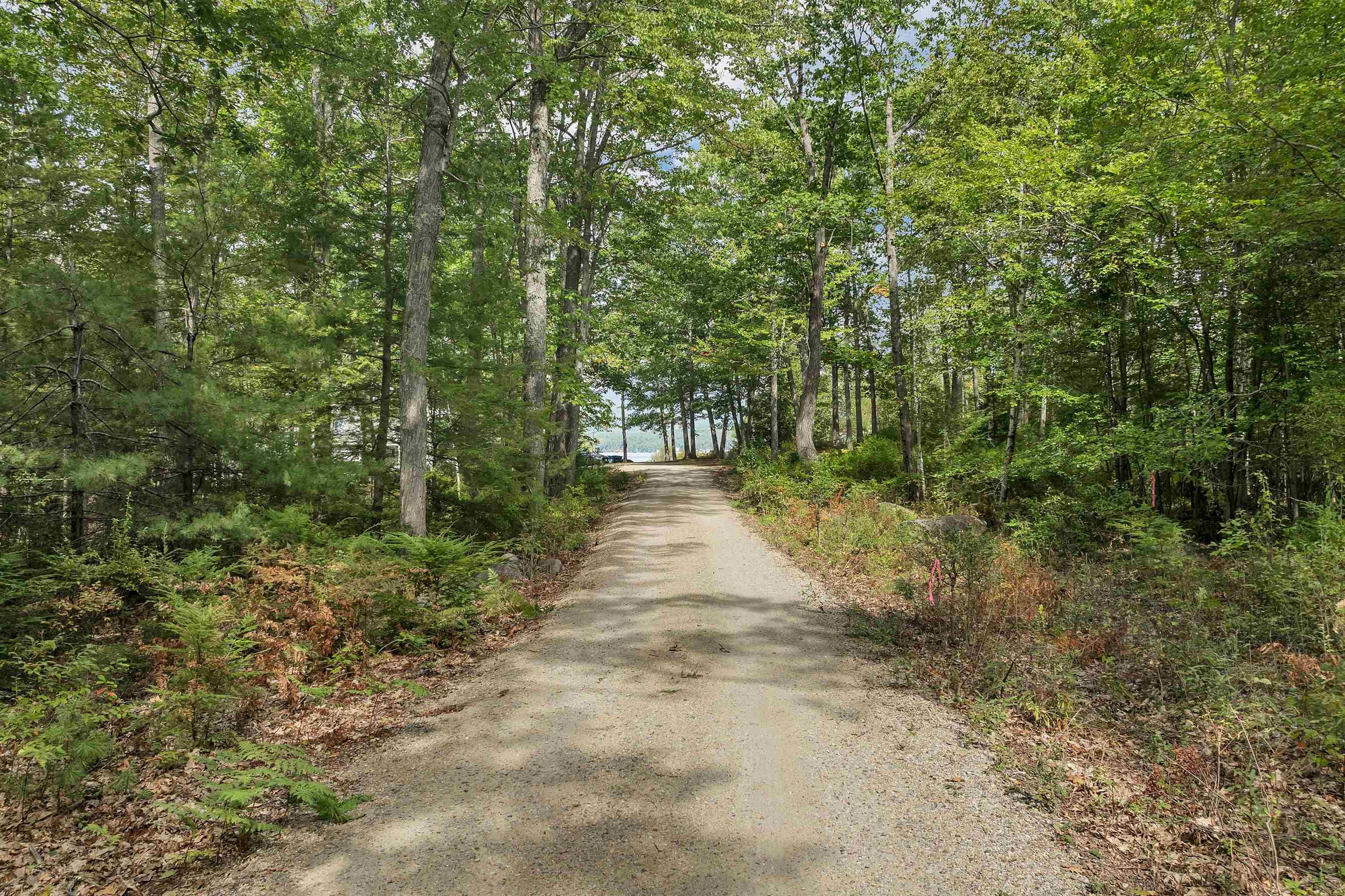 Image 1: Long private driveway