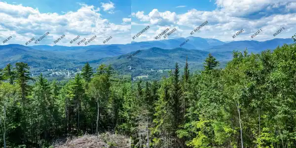 Image 4 Image 4