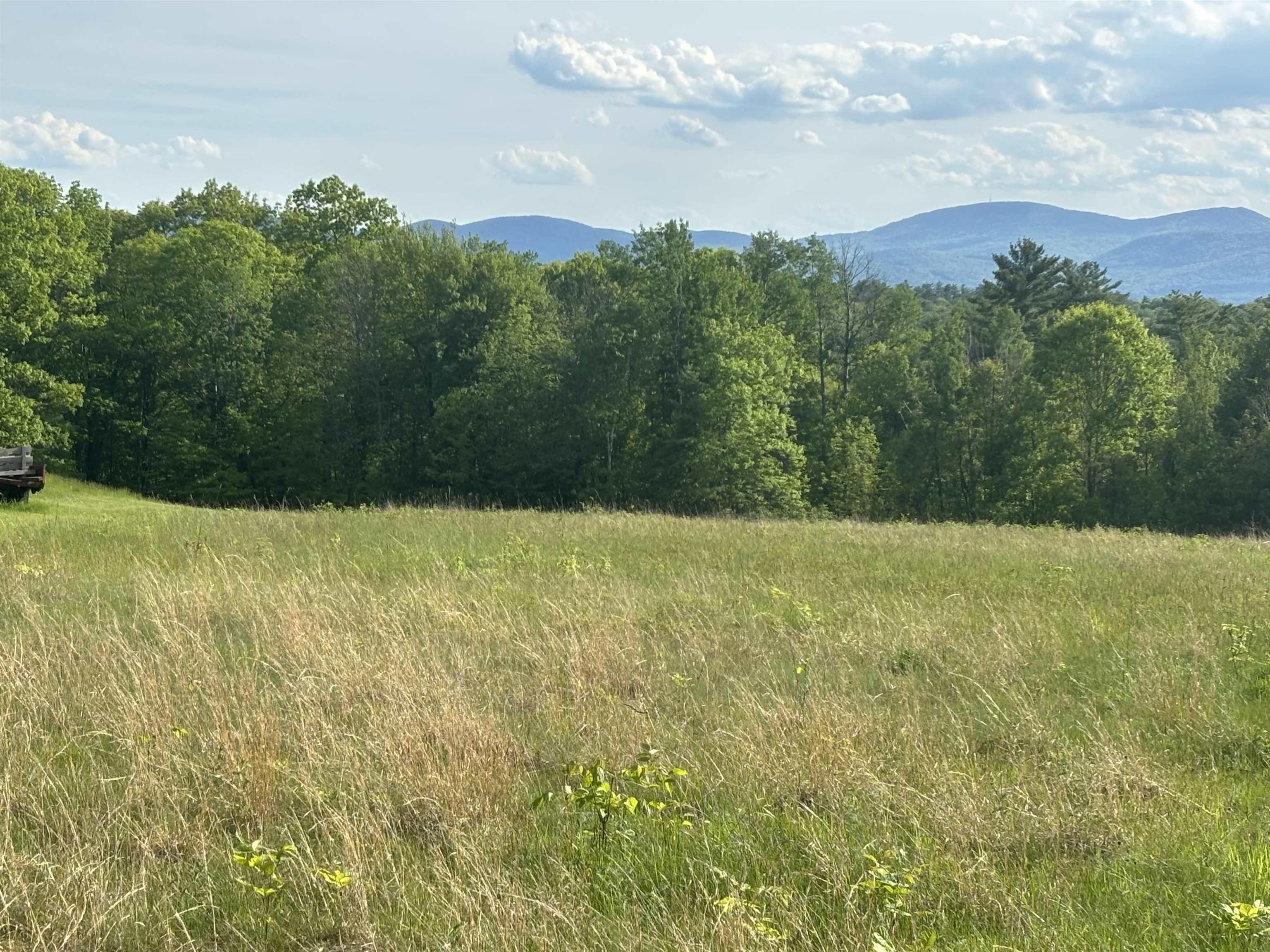 Image 3: Meadow and Woodlands Image 3: Meadow and Woodlands