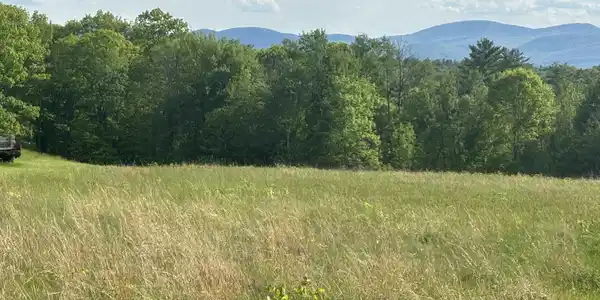 Image 3: Meadow and Woodlands