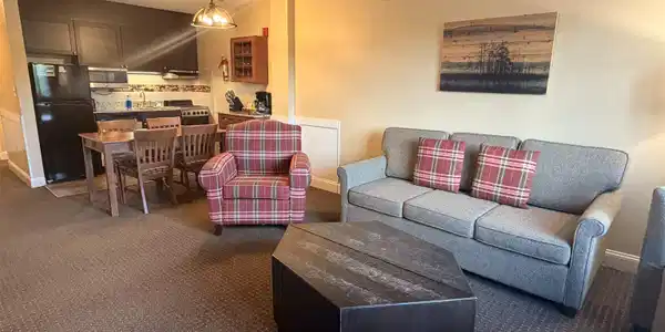 Image 3: Living room with pull-out couch