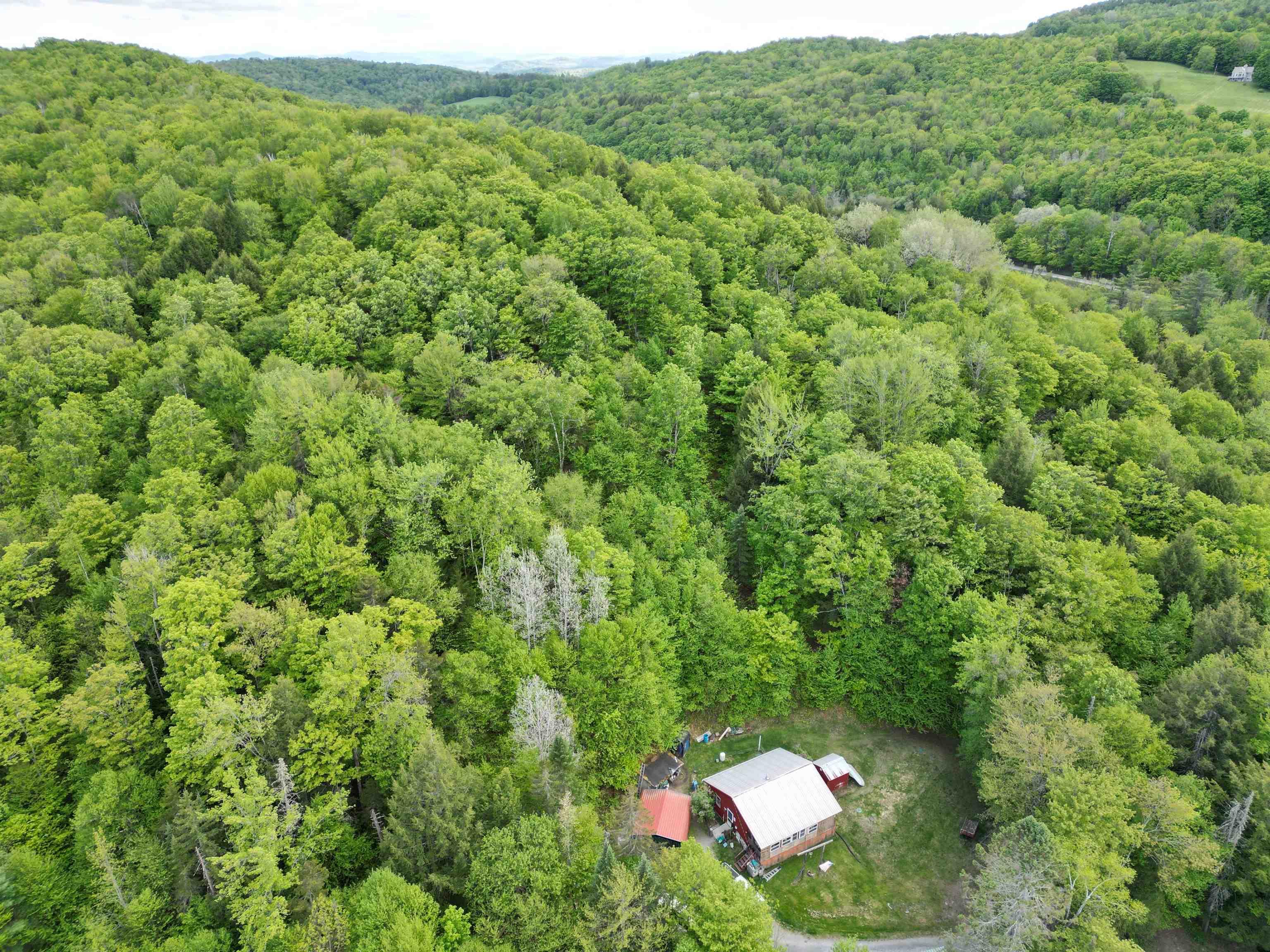 Image 1 Image 1