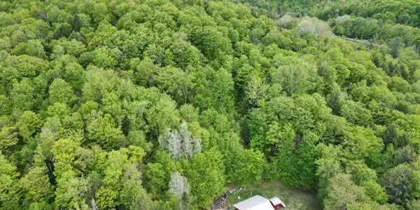 4823 Swamp Road